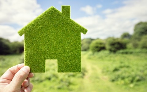 Image of a person hold a cut out of a basic green house